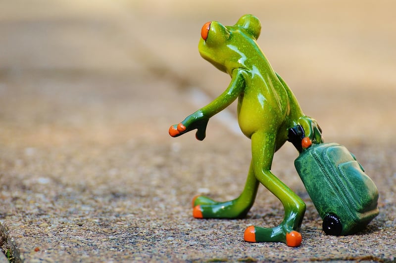Travel Consultant